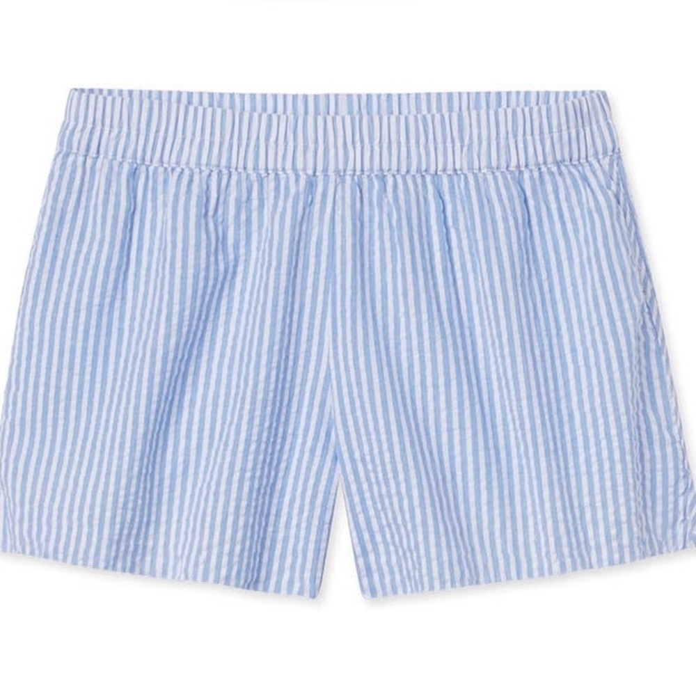 Lake Womens Alice Shorts in Blue Seersucker Size XXL